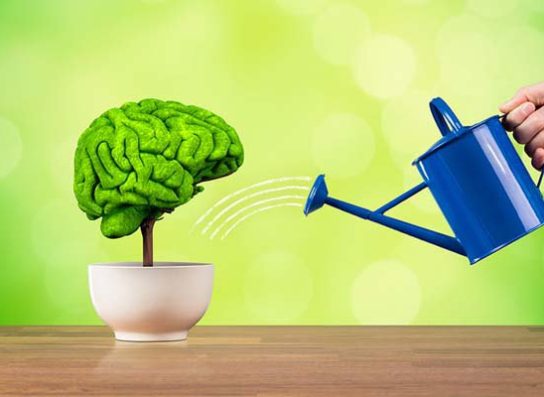 neurosequential model